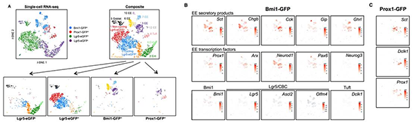 單細胞測序,單細胞測序技術,Drop-seq