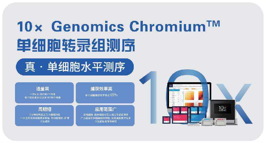 單細胞測序技術研究癌變腫瘤