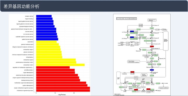 單細(xì)胞轉(zhuǎn)錄組測序(10x Genomics)詳解